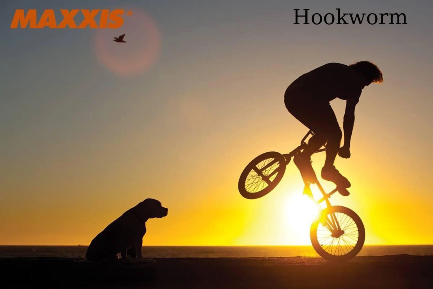 MAXXIS Hookworm Fahrrad Reifen 26 27.5 29 Größen